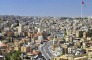 Dead Sea and Amman City Tour from Amman  3