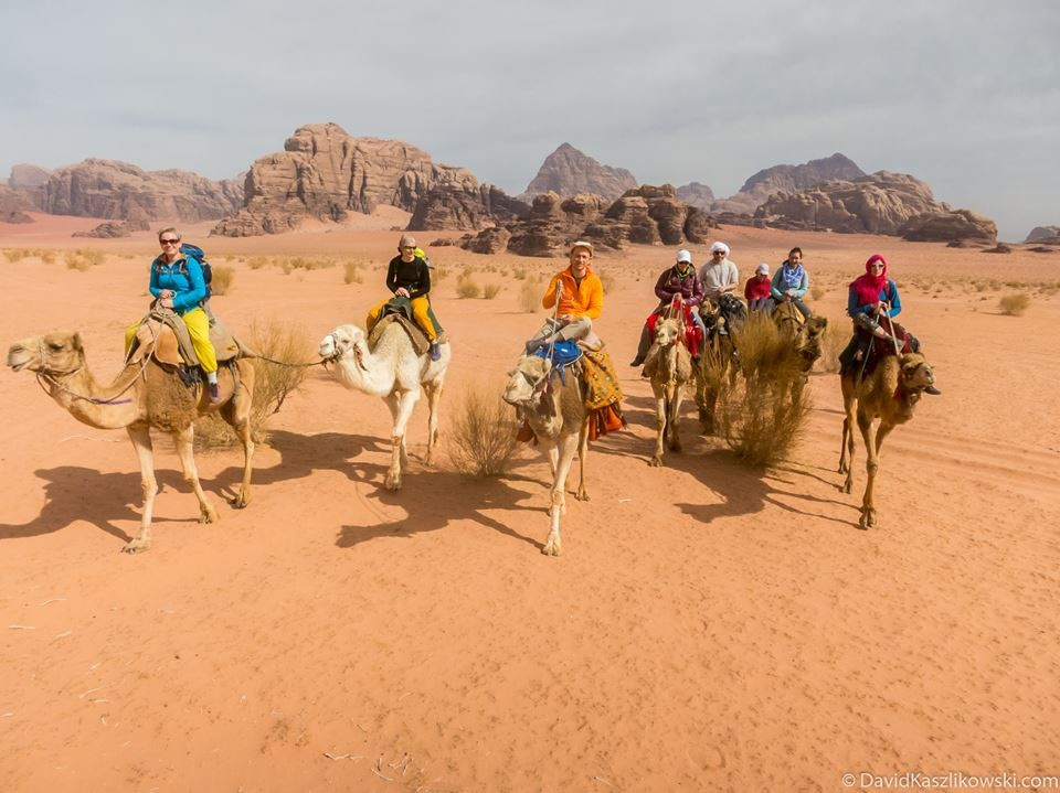 camel tour petra