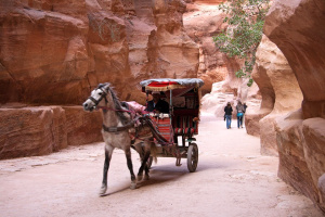 Horse Carriage in Petra 01