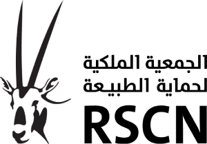 Tour operator leader in Giordania per esperienze di viaggio su misura